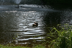 IMG_000196