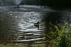 IMG_000197