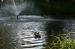IMG_000198