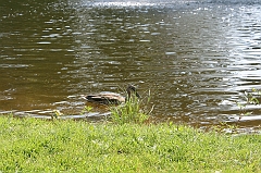 IMG_000200