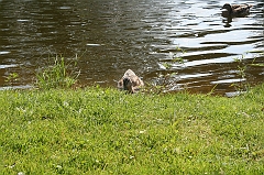 IMG_000202