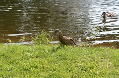 IMG_000203