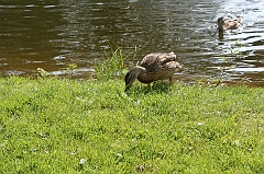 IMG_000204