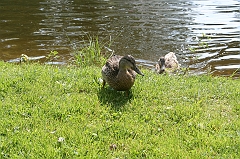 IMG_000206