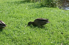 IMG_000220