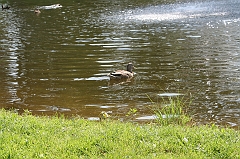 IMG_000224