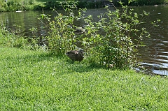 IMG_000228