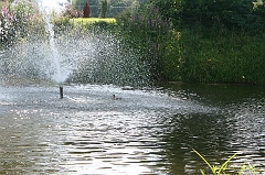 IMG_000232