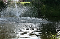 IMG_000233
