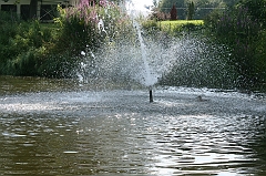 IMG_000234