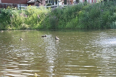 IMG_000236
