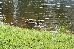 IMG_000244