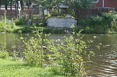IMG_000245