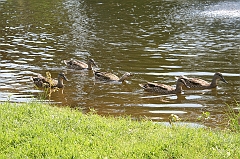 IMG_000250