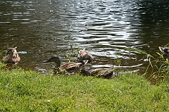 IMG_000257