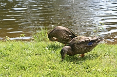 IMG_000269