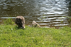 IMG_000277