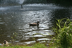 IMG_000279