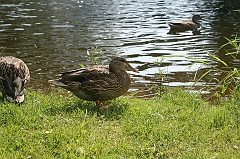 IMG_000280