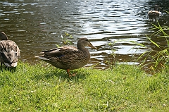IMG_000281