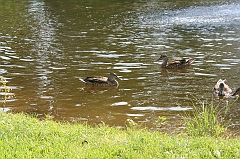 IMG_000284