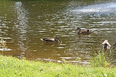 IMG_000285