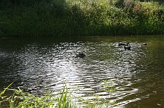 IMG_000286