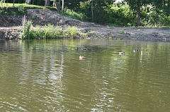 IMG_000295
