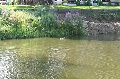 IMG_000296