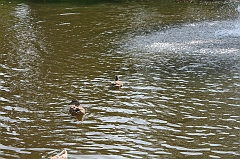 IMG_000300