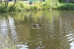IMG_000302