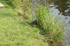 IMG_000304
