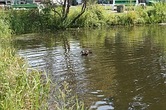 IMG_000305