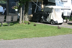 IMG_000312