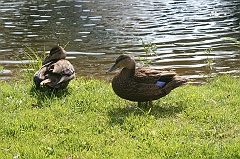 IMG_000315