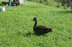 IMG_000319