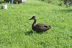 IMG_000320