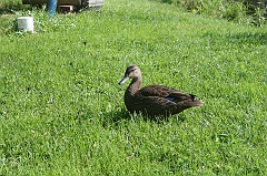 IMG_000321