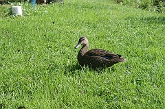 IMG_000322