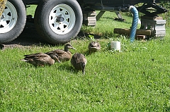 IMG_000325