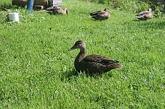 IMG_000327