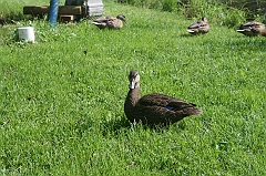 IMG_000328