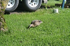 IMG_000329