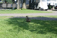 IMG_000330