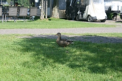 IMG_000331