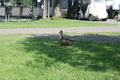 IMG_000332