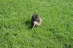 IMG_000335