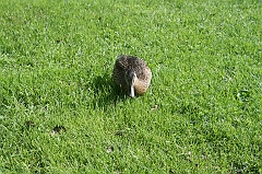 IMG_000336