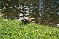 IMG_000340