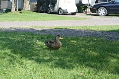 IMG_000343